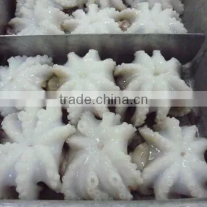 Baby Frozen Octopus thumbnail-1