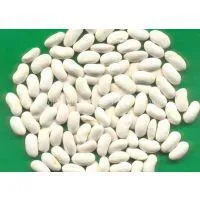 White Kidney Beans Medium Type thumbnail-1