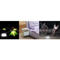 T333 Camping Light Supplier Emergency Light thumbnail-1