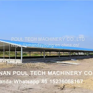 Sudan Poultry Farm for 10,000 Broilers & Chicken Plastic Saltted Floor System & Broiler Floor System With Nipple Drinker System & Feeding Pan System thumbnail-3
