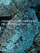 Silicon Carbide thumbnail-1