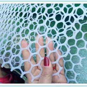 Plastic Flat Net Used for Poultry thumbnail-2