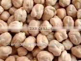 Yellow Chickpeas thumbnail-1