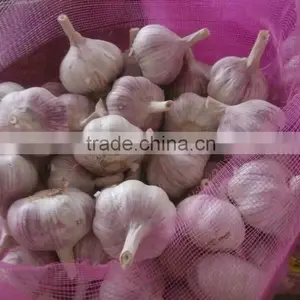 Lastest Dried Ginger Export Price Wholesale Ginger And Garlic thumbnail-5