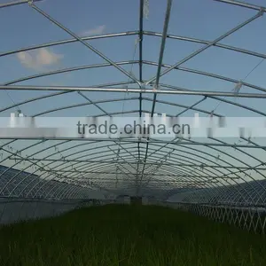 Greenhouse thumbnail-1