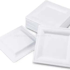 Compostable Biodegradable Sugarcane Recycled Bagasse 20*20cm Square Plates for a Garden Party Stable and do Not Sag thumbnail-2