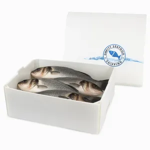 Polypropylene Corrugated Plastic Coroplast Fish Seafood Shipping Box thumbnail-2