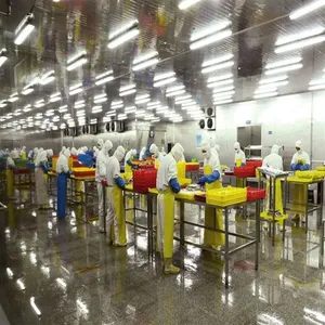 Commercial Canned Sardine in Tomato Sauce Processing Line thumbnail-4