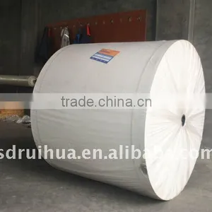 Polyester Felt for Waterproof Membrane thumbnail-1