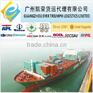 Door to Door Sea Freight From China to Australia DDU Shipping thumbnail-1