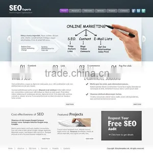 Internet Marketing and Seo Company India thumbnail-5
