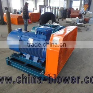 Roots Vacuum Pump Gas thumbnail-2