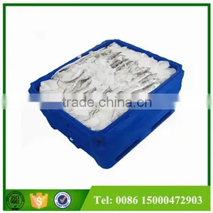 1000L Platic PE Frozen Fish Container, Plastic Container for Frozen Fish, Live Fish thumbnail-4