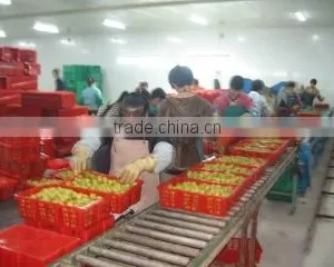 Foshan Fuyi Food Co., Ltd. company overview - view 2 thumbnail