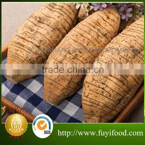 Chinese Vegetable Fresh Arrow Root on Sale thumbnail-4