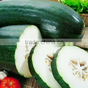 Fresh Wax Gourd thumbnail-1