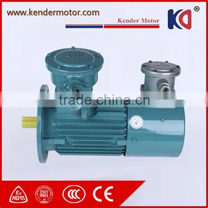 Hot Sale Anynchronous AC Electric Motor With Large Machine thumbnail-2