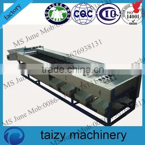 Factory Machine Cherry Tomato Sorting Machine thumbnail-1