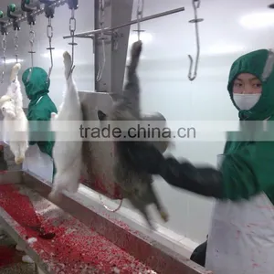 Rabbit Processing Slaughterhouse thumbnail-2