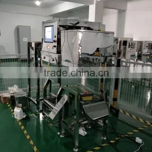 Inline X-ray Inspection Machine for Loose Raisins, Sunflowers, Corns. thumbnail-2