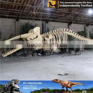 MY Dino-C078 Aquarium Life Size Fish Skeleton thumbnail-4