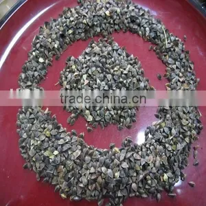 Roasted Buckwheat Kernel, Roasted Buckwheat Hull thumbnail-1