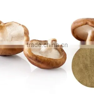 High Quality Champignon Shiitake Mushroom Extract Powder thumbnail-1