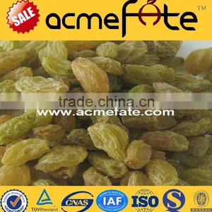 Best Price Top Quality Seeded  Raisin(golden,green,sultana,sun Dried) thumbnail-1