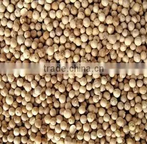 VIETNAM WHITE PEPPER 550 G/ l, 600 G/L, 630 G/L BEST QUALITY thumbnail-2
