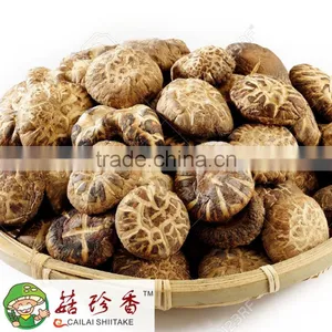 Nutritionally Endowed Dried White Flower Shiitake Mushroom of Spawn Cultivation thumbnail-1