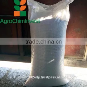 Russian Coriander thumbnail-4