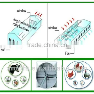 Wall Mounted Exhaust Fan For Livestock (OFS-146SS) thumbnail-1