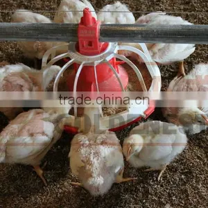 Goldenest Poultry Shed Cheap Feed Auger Deliver Equipment thumbnail-6