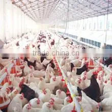 Shandong Huabang Agricultural And Animal Husbandry Machinery Co., Ltd. company overview - view 2 thumbnail