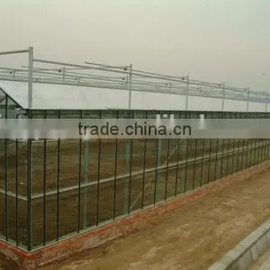 Saled Agricultural Greenhouse for Sale thumbnail-3