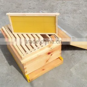 Beehive thumbnail-1