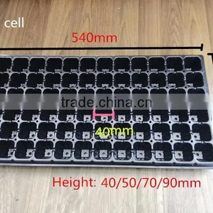 72 Cell Plug Tray, 540*280mm, 70mm Depth thumbnail-2