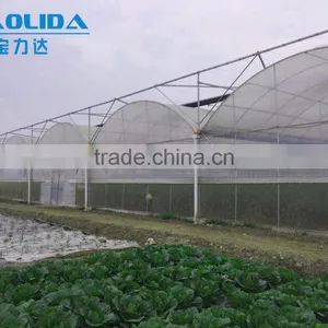 Cheap Easily Inatalled Plastic Film Vegetable Greenhouse thumbnail-6