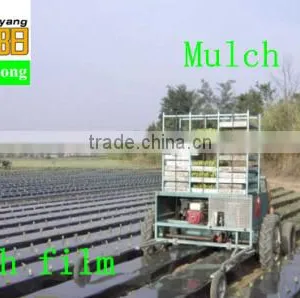 Agricultural Plastic Mulch Agriculture Siliver-black Film thumbnail-1