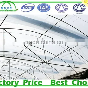Multi Span Tunnel PE Plastic Film Hydroponic Systems Agricultural Commercial Greenhouse thumbnail-3