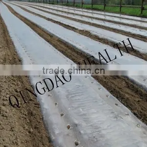 Agriculture Mulch Films ,perforated Clear Mulch Film (with 2 or 4 Holes) thumbnail-6