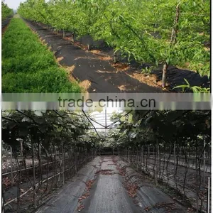 Tree Weed Control Mat thumbnail-2