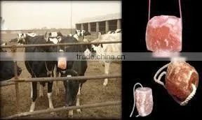 Food Grade Mineral Himalayan Animal Licking Rock Salt thumbnail-1