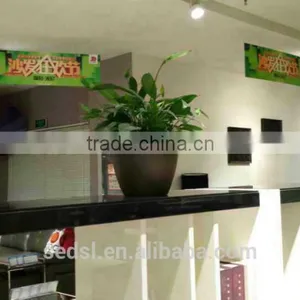 Small Decorative Plastic Plant Pots Indoor, Flower Pots thumbnail-6