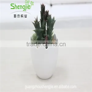 SJLJ013384 Artificial Plant / Fake Plastic Succulent Plant for Office / Restaurant Decoration thumbnail-2