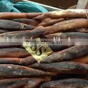 2016 Grade A Frozen Illex Squid 150g-200g for Sale thumbnail-1