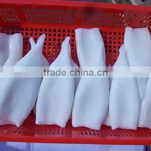 2016 Best Quality New Arrival Squid Tubes for Sale thumbnail-4