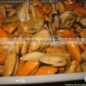 Seafood Frozen Without Shell Blue Mussel Meat thumbnail-1