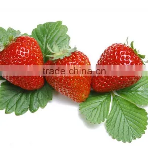 Instant Strawberry Drinks Powder thumbnail-1