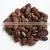 Pongamia Oil thumbnail-5